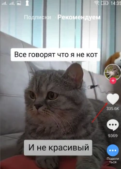 Как зарабатывать в TikTok - 2