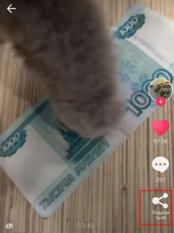 TikTok: накрутка просмотров - 2