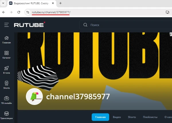 RUTUBE: накрутка подписчиков на канал - 1